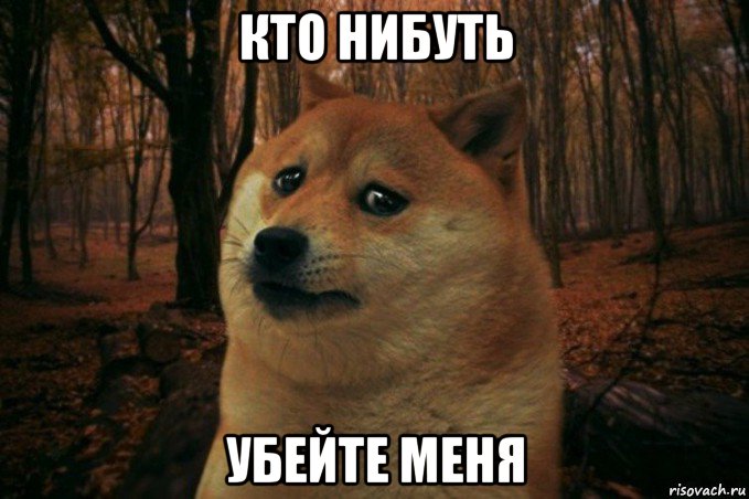 кто нибуть убейте меня, Мем SAD DOGE