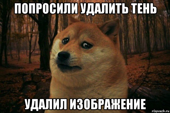 попросили удалить тень удалил изображение, Мем SAD DOGE