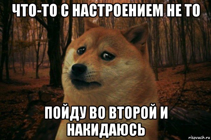 что-то с настроением не то пойду во второй и накидаюсь, Мем SAD DOGE