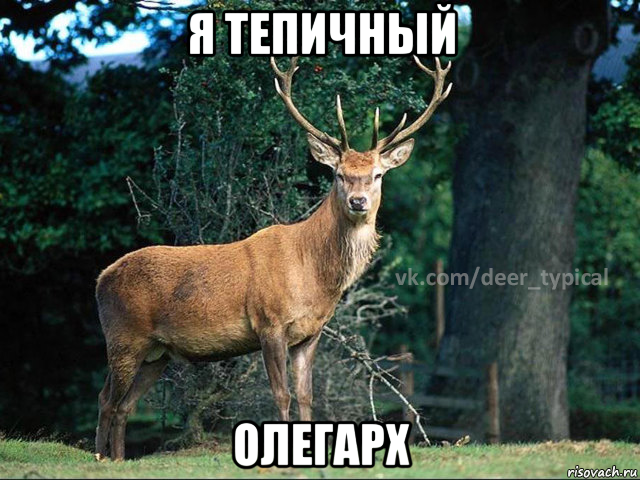 я тепичный олегарх