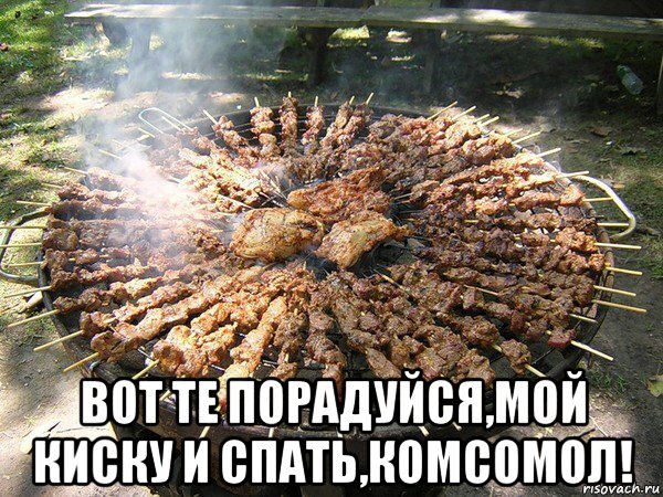 Хочу на шашлыки картинки