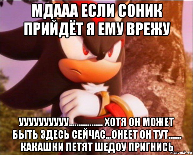мдааа если соник прийдёт я ему врежу уууууууууу.................. хотя он может быть здесь сейчас...онеет он тут....... какашки летят шедоу пригнись