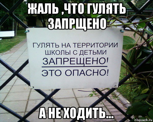 жаль ,что гулять запрщено а не ходить...