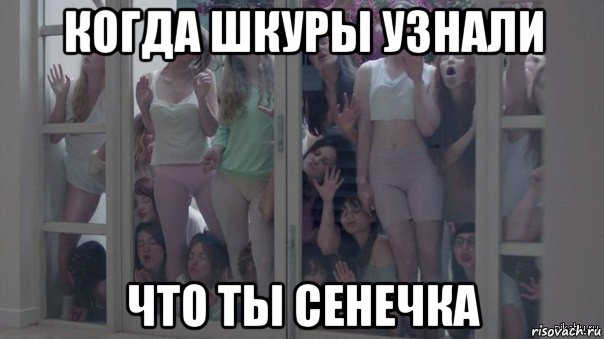 когда шкуры узнали что ты сенечка, Мем Шкуры узнали