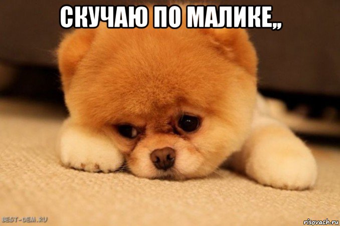 скучаю по малике,, 