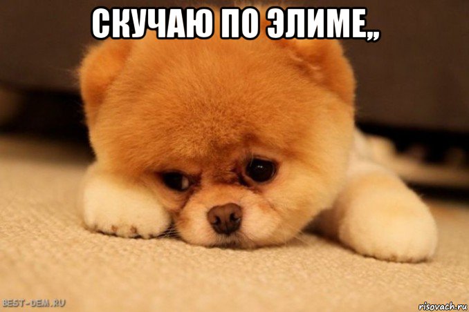 скучаю по элиме,, 
