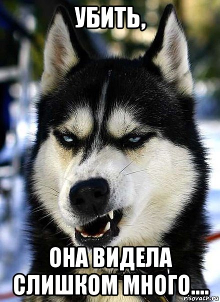 убить, она видела слишком много....