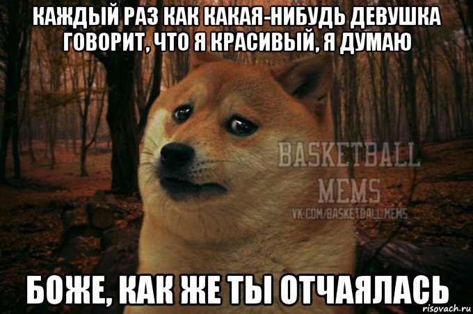 каждый раз как какая-нибудь девушка говорит, что я красивый, я думаю боже, как же ты отчаялась, Мем Собака Basletball Mems
