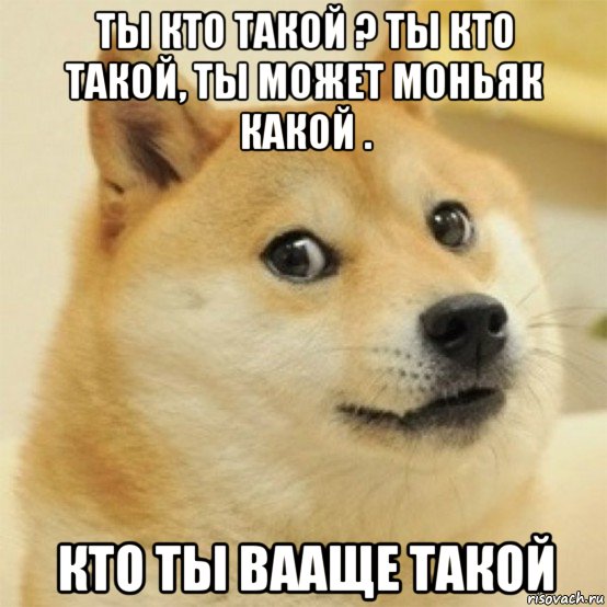 ты кто такой ? ты кто такой, ты может моньяк какой . кто ты вааще такой