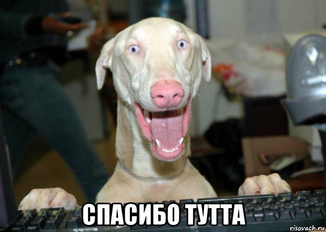  спасибо тутта