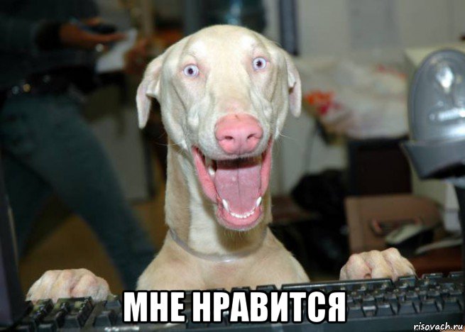  мне нравится