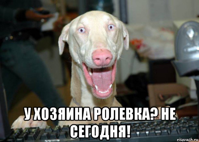  у хозяина ролевка? не сегодня!