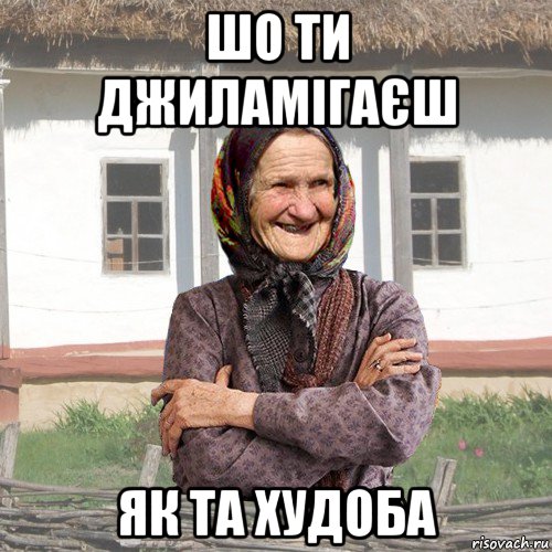 шо ти джиламігаєш як та худоба