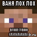 ваня лох лох ваня гавно хахахахахах, Мем стив