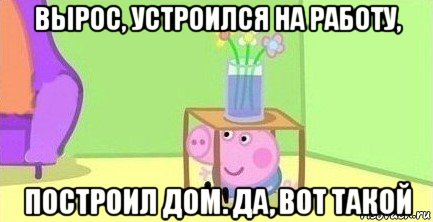 вырос, устроился на работу, построил дом. да, вот такой, Мем  Свинка пеппа под столом