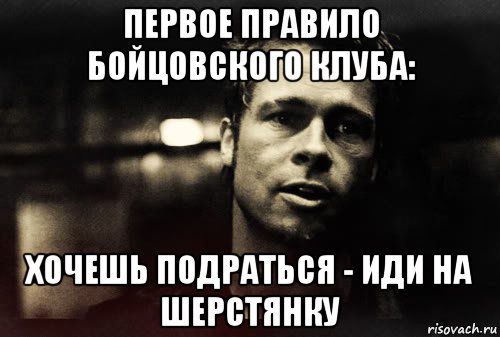 первое правило бойцовского клуба: хочешь подраться - иди на шерстянку, Мем Тайлер