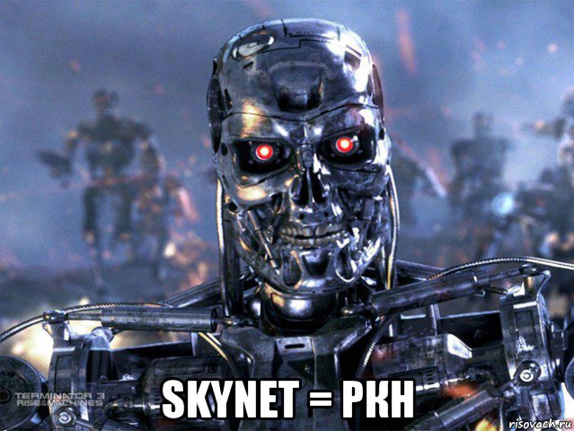  skynet = ркн, Мем   Терминатор