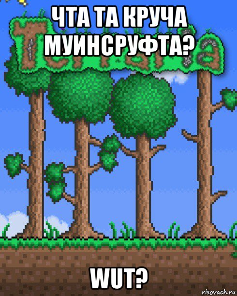 чта та круча муинсруфта? wut?