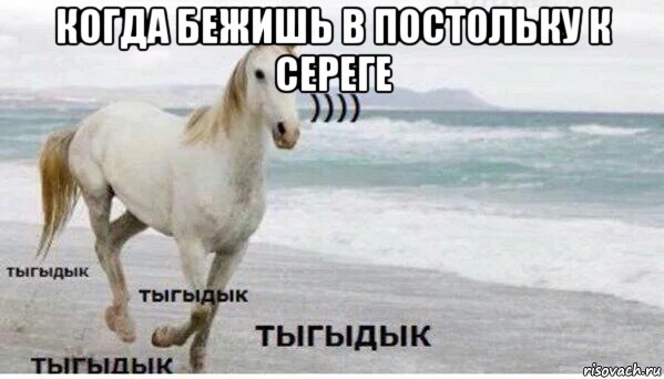 когда бежишь в постольку к сереге , Мем   Тыгыдык