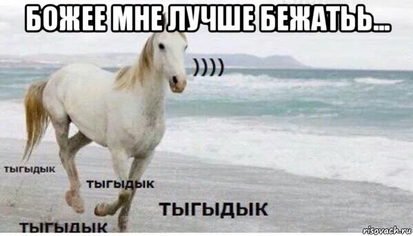 божее мне лучше бежатьь... , Мем   Тыгыдык