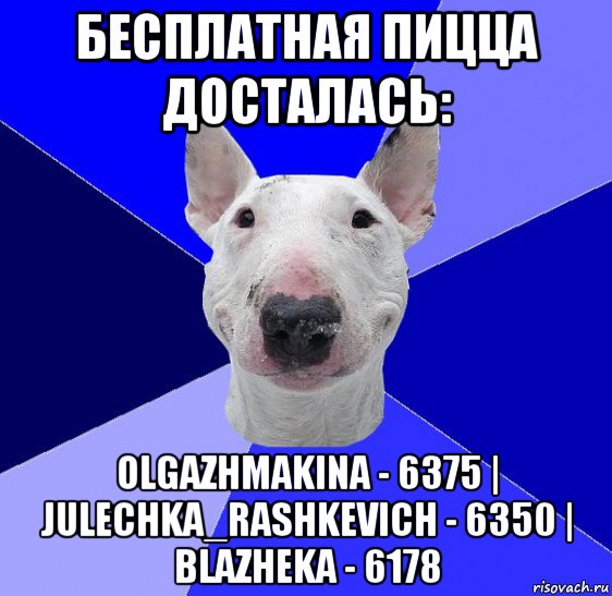 бесплатная пицца досталась: olgazhmakina - 6375 | julechka_rashkevich - 6350 | blazheka - 6178, Мем типичный буль