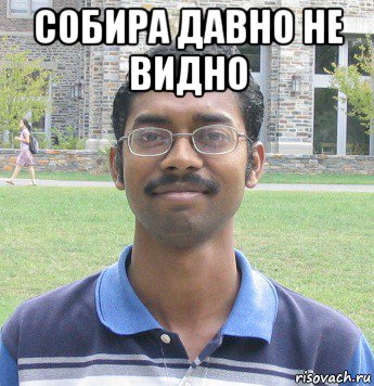 собира давно не видно 