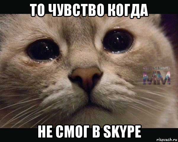 то чувство когда не смог в skype