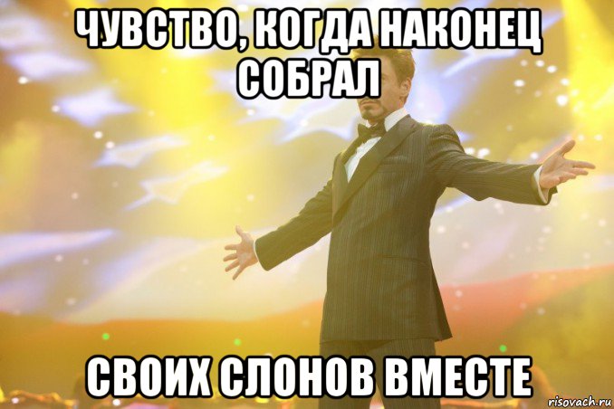 чувство, когда наконец собрал своих слонов вместе