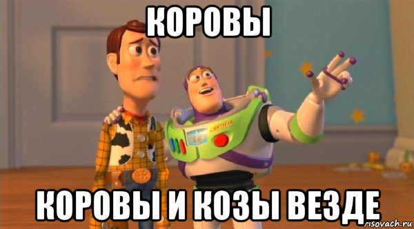 коровы коровы и козы везде