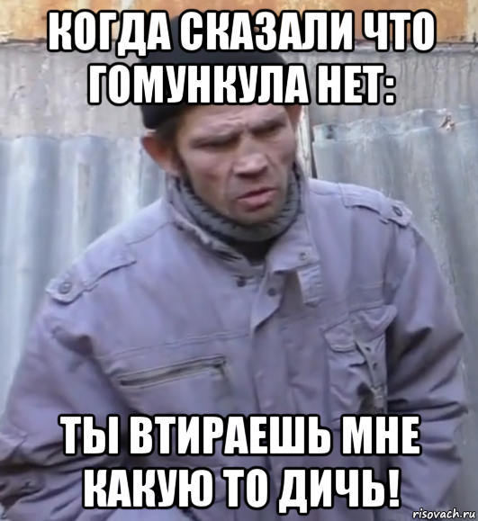 когда сказали что гомункула нет: ты втираешь мне какую то дичь!, Мем  Ты втираешь мне какую то дичь