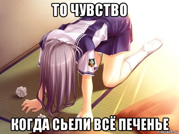 то чувство когда сьели всё печенье, Мем тян