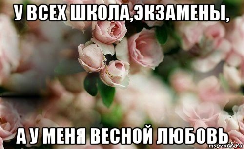 у всех школа,экзамены, а у меня весной любовь