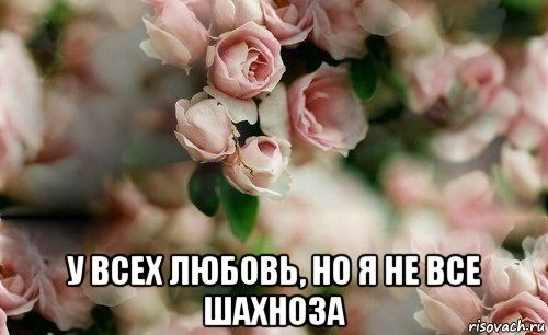  у всех любовь, но я не все шахноза