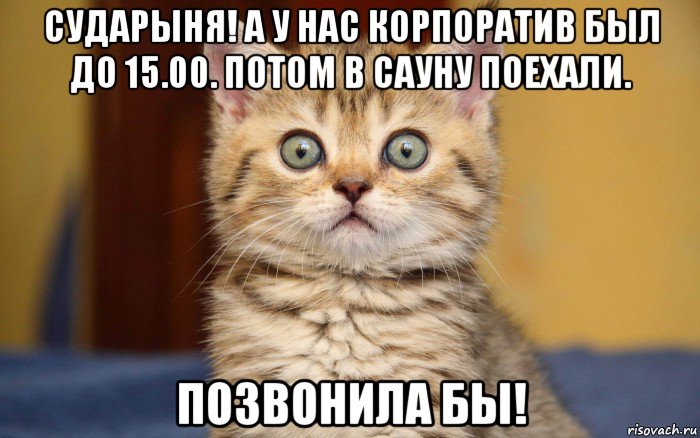 сударыня! а у нас корпоратив был до 15.00. потом в сауну поехали. позвонила бы!, Мем  удивление