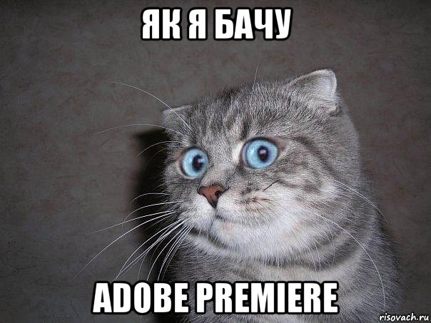 як я бачу adobe premiere, Мем  удивлённый кот