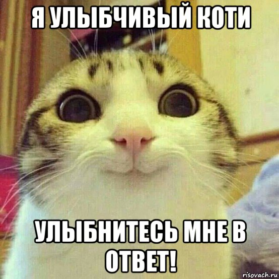я улыбчивый коти улыбнитесь мне в ответ!