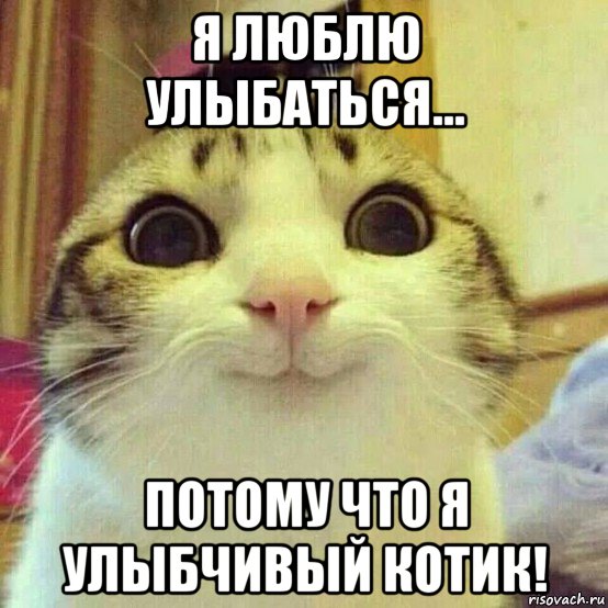 я люблю улыбаться... потому что я улыбчивый котик!