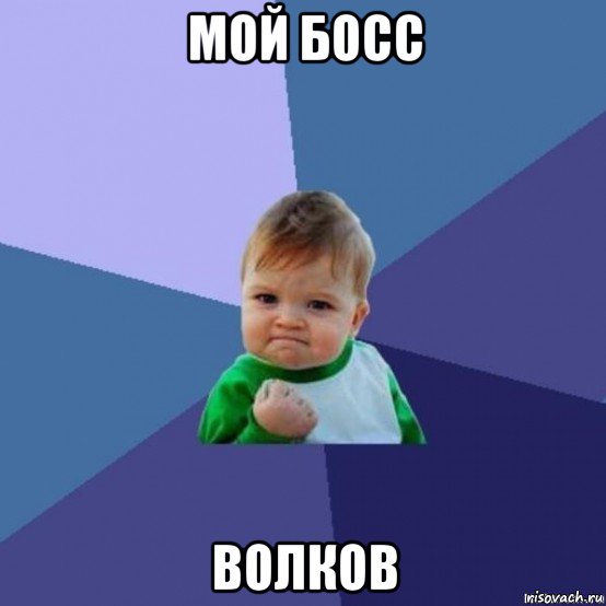 мой босс волков