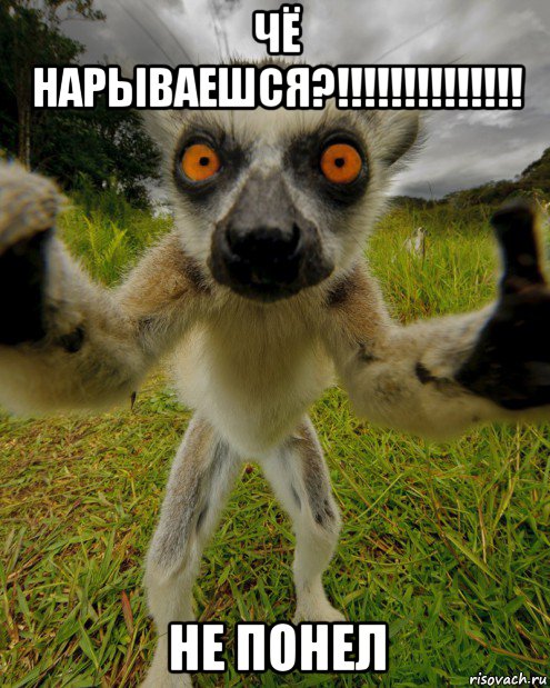 чё нарываешся?!!!!!!!!!!!!!! не понел