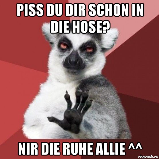 piss du dir schon in die hose? nir die ruhe allie ^^, Мем Узбагойзя