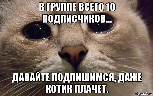 в группе всего 10 подписчиков... давайте подпишимся, даже котик плачет., Мем   В мире грустит один котик