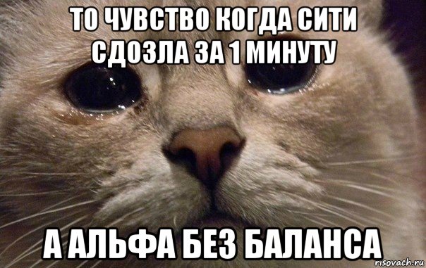 то чувство когда сити сдозла за 1 минуту а альфа без баланса, Мем   В мире грустит один котик