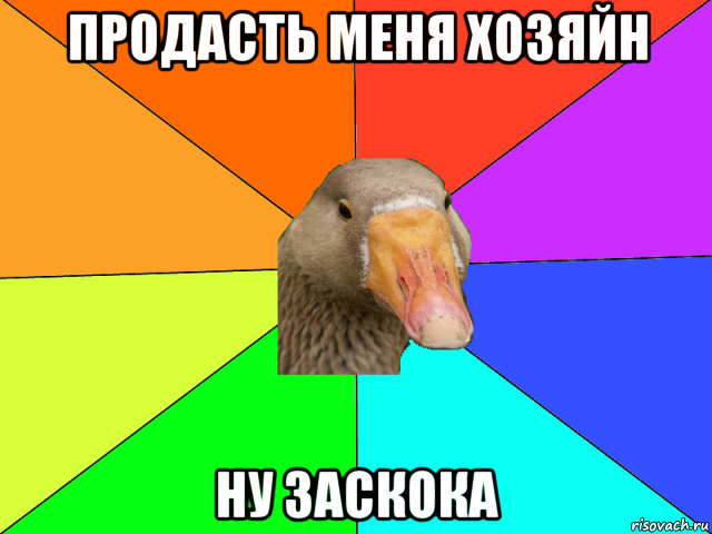 продасть меня хозяйн ну заскока
