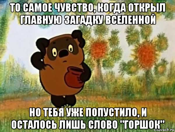 то самое чувство, когда открыл главную загадку вселенной но тебя уже попустило, и осталось лишь слово "горшок", Мем Винни пух чешет затылок