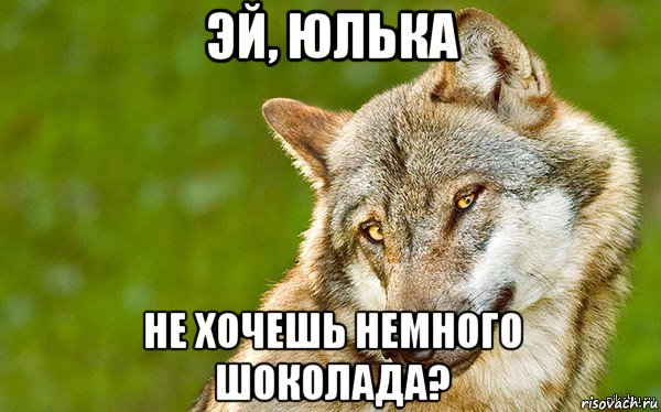 эй, юлька не хочешь немного шоколада?, Мем   Volf