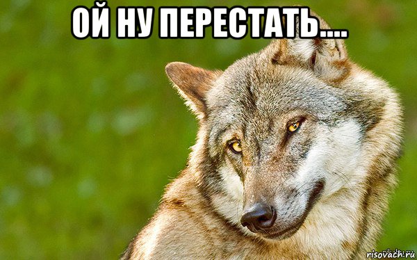 ой ну перестать.... , Мем   Volf