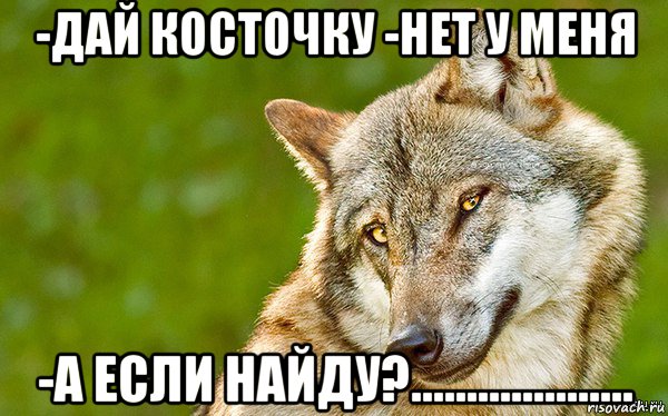 -дай косточку -нет у меня -а если найду?...................., Мем   Volf