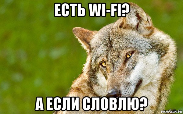 есть wi-fi? а если словлю?, Мем   Volf