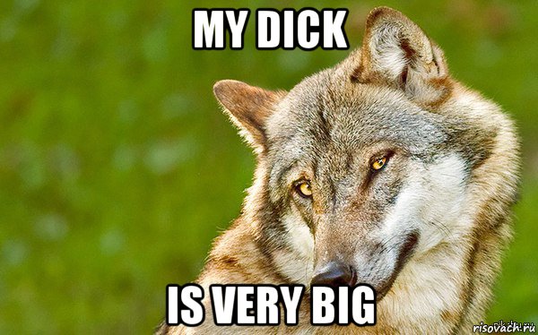 my dick is very big, Мем   Volf