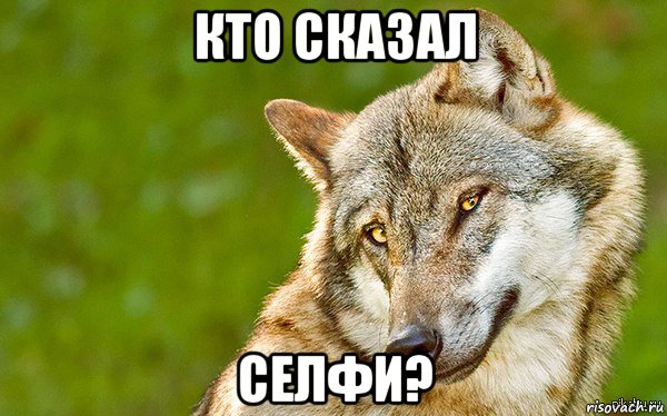 кто сказал селфи?, Мем   Volf